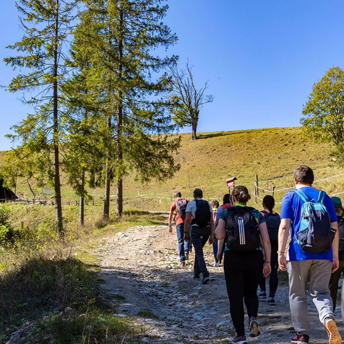Pracownicy Comarch maszerujący podczas górskiej wycieczki