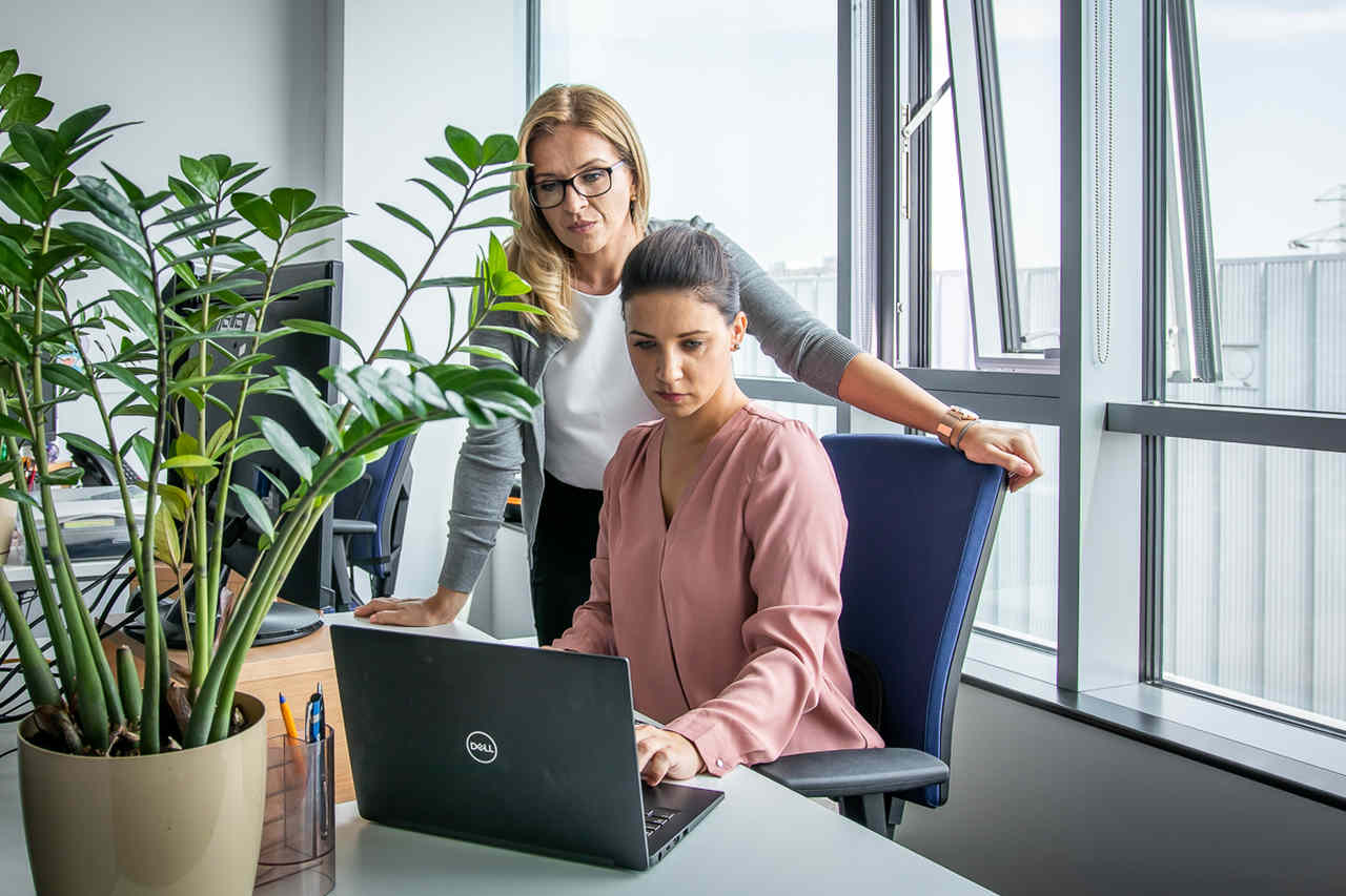 Dwie eleganckie kobiety pracują przy jednym komputerze. Na biurku znajduje się zielony kwiat